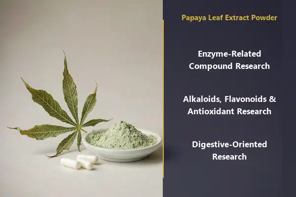 papaya leaf extract powder