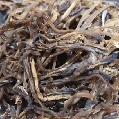 Sea Cucumber Intestine Peptide Sea Cucumber Intestine Peptide