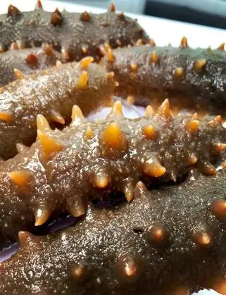 Sea Cucumber Peptide Powder Sea Cucumber Peptide Powder