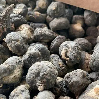 maca