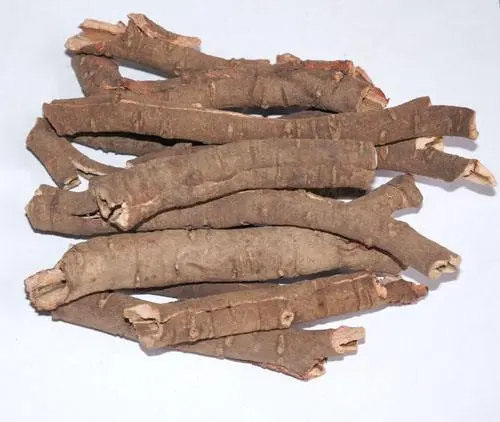 Tree Peony Bark Tree Peony Bark