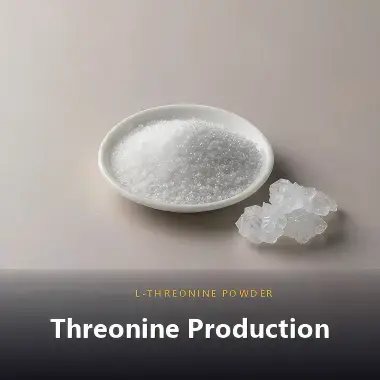 threonine production technology