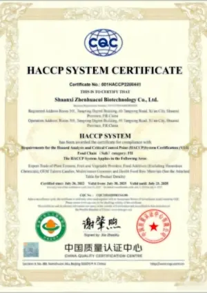 certification certification