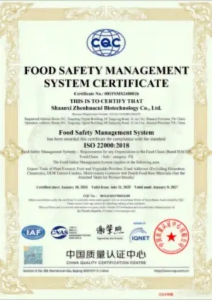 certification certification