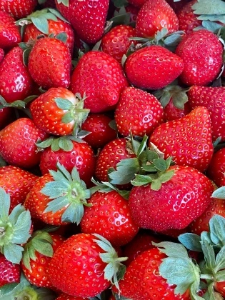 Strawberry Strawberry