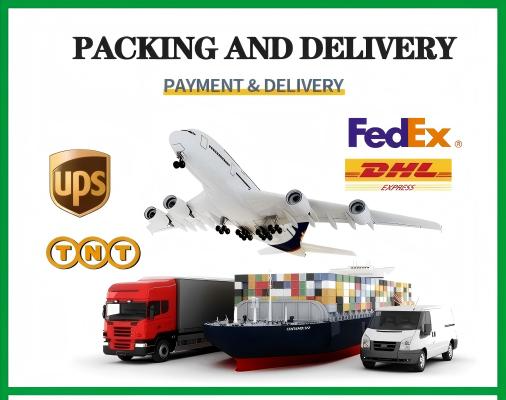 Transportation Transportation