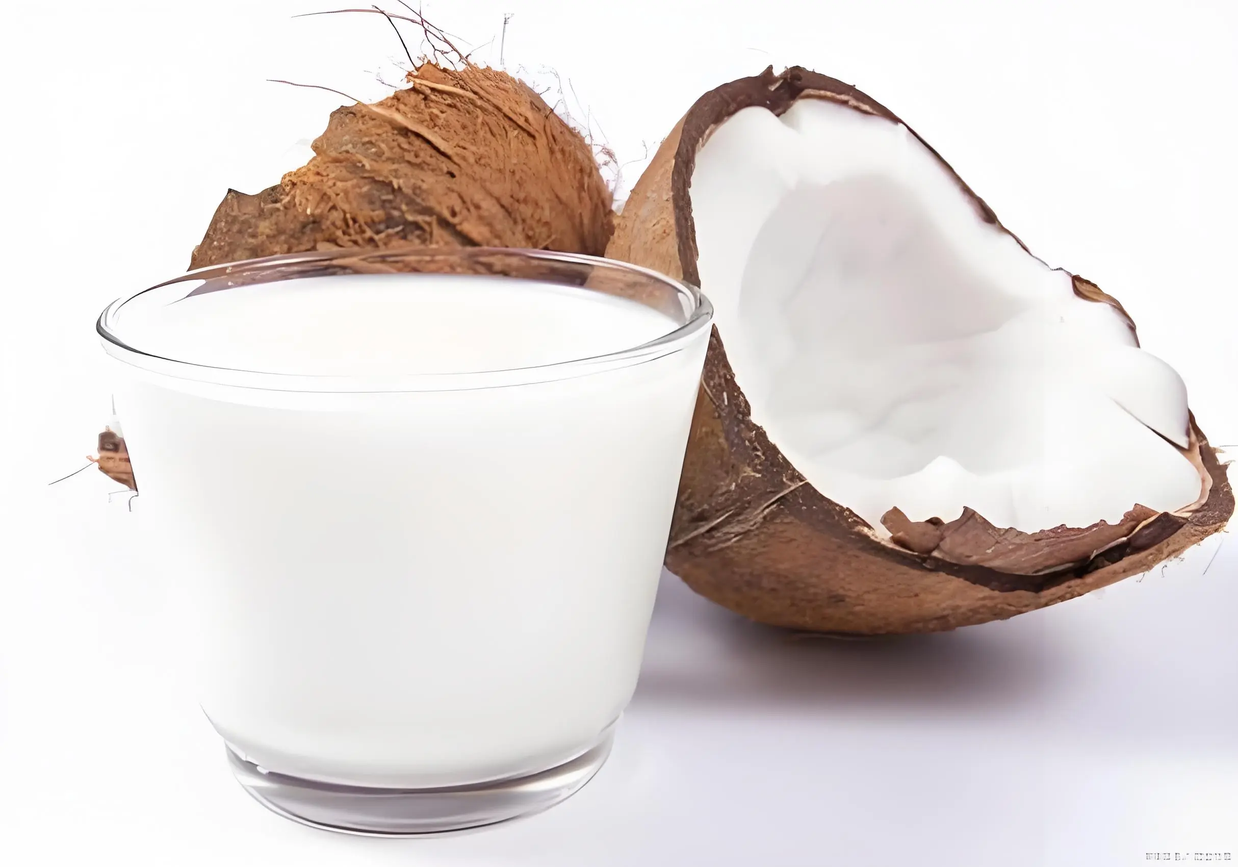 Coconut Milk Coconut Milk