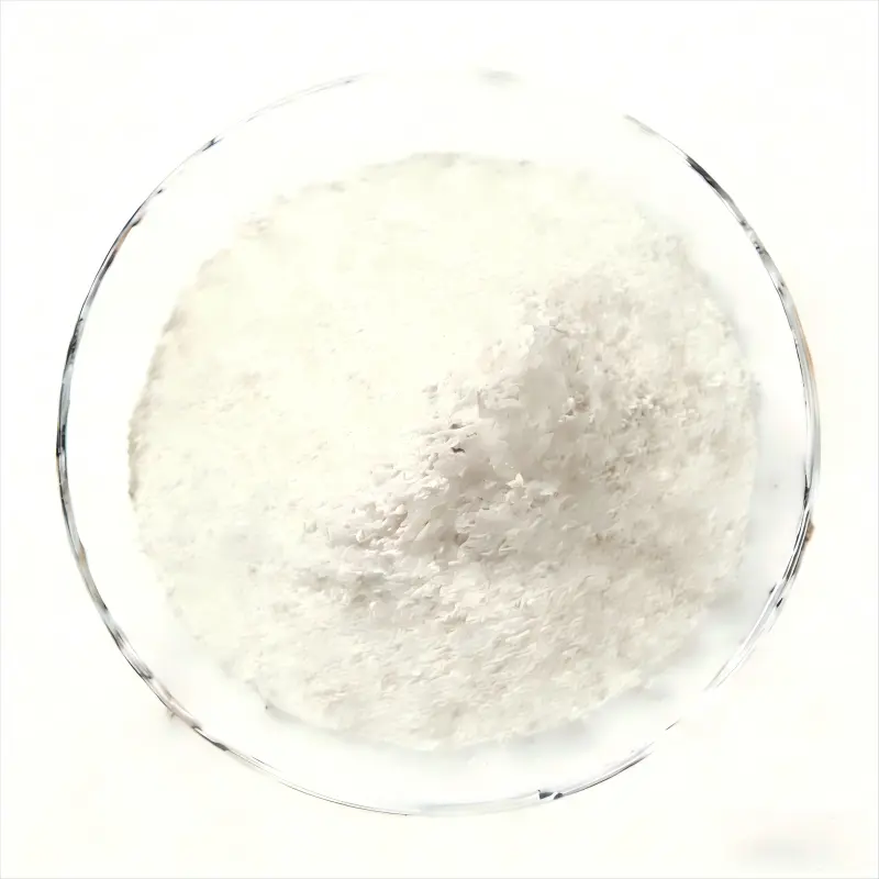 Garcinia Cambogia Extract Powder Garcinia Cambogia Extract Powder