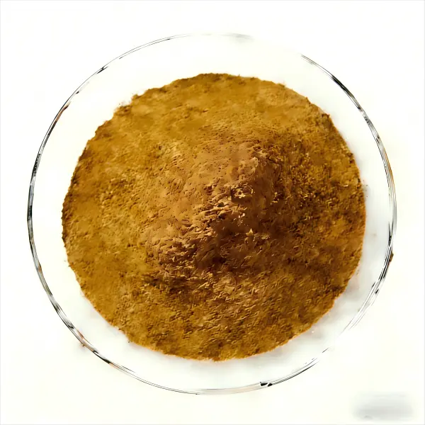 Angelica Sinensis Extract Powder