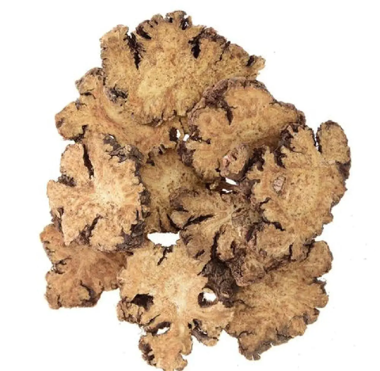 Rhizoma Chuanxiong Rhizoma Chuanxiong