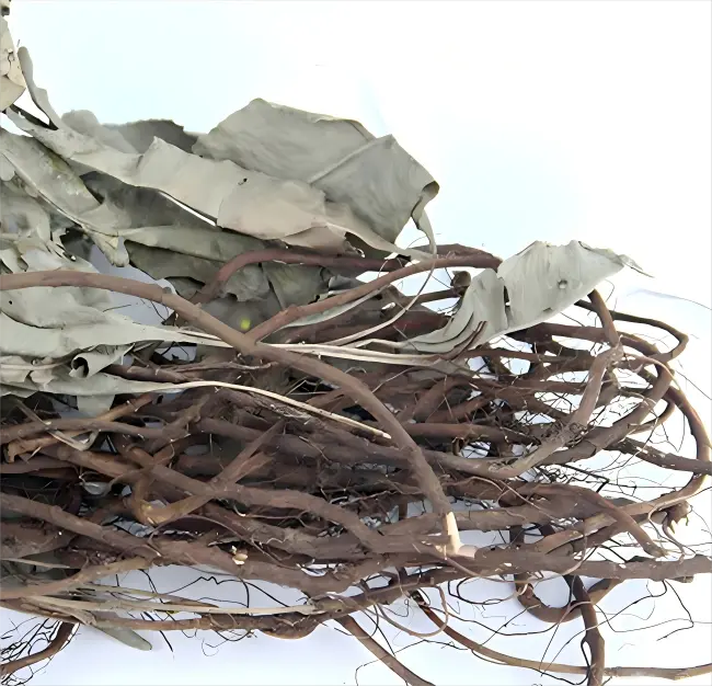 Kacip Fatimah Kacip Fatimah