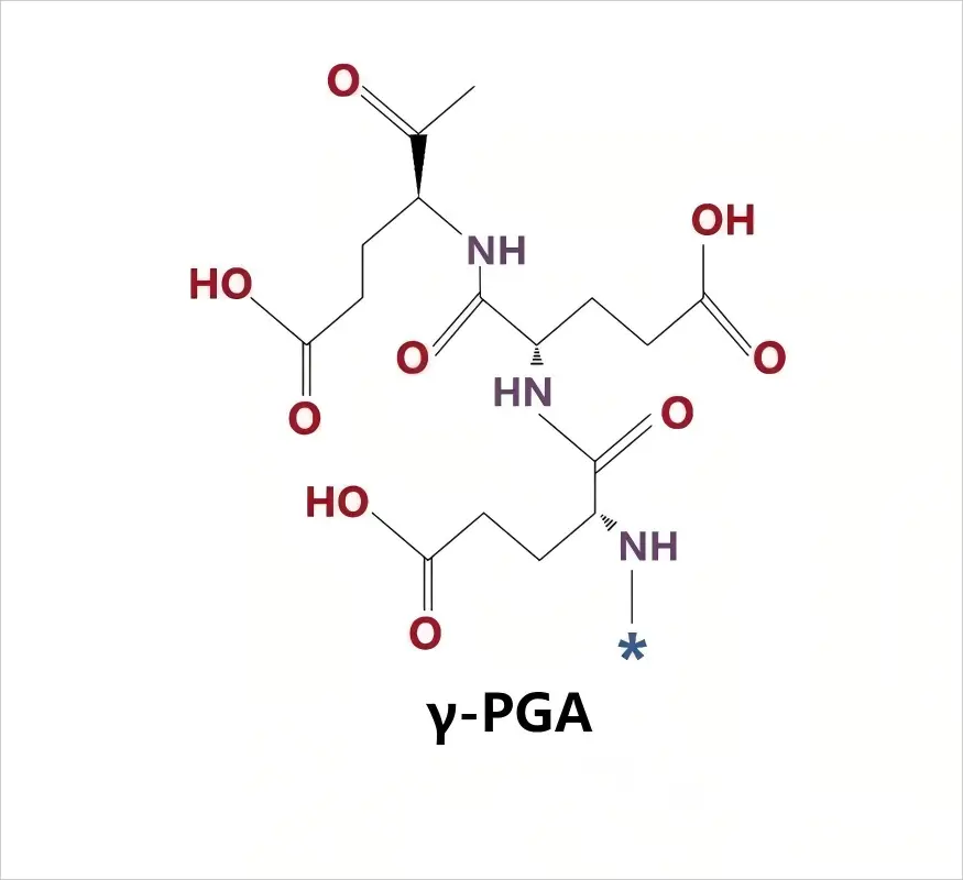 γ-PGA NATTO GUM