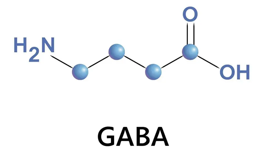 γ-Aminobutyric Acid