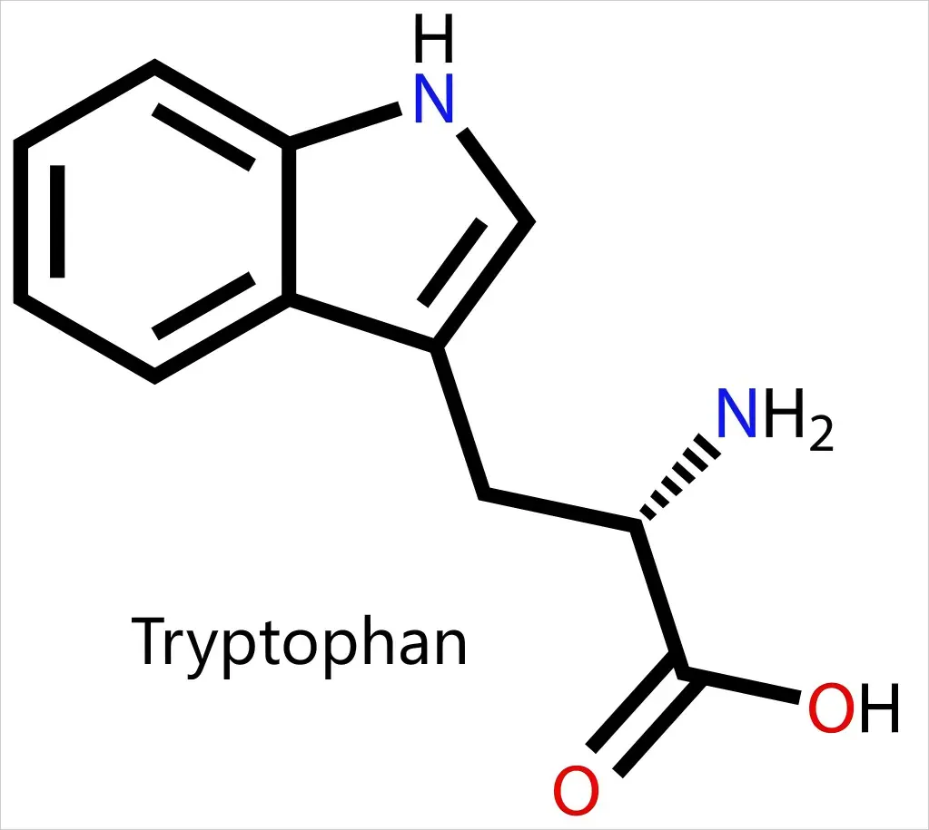 Tryptophan 