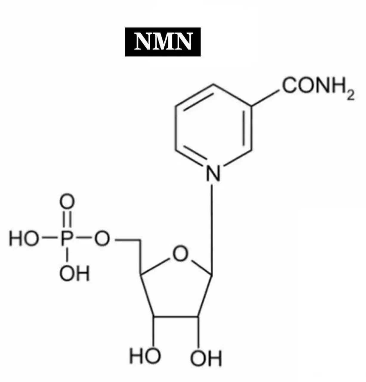 NMN 