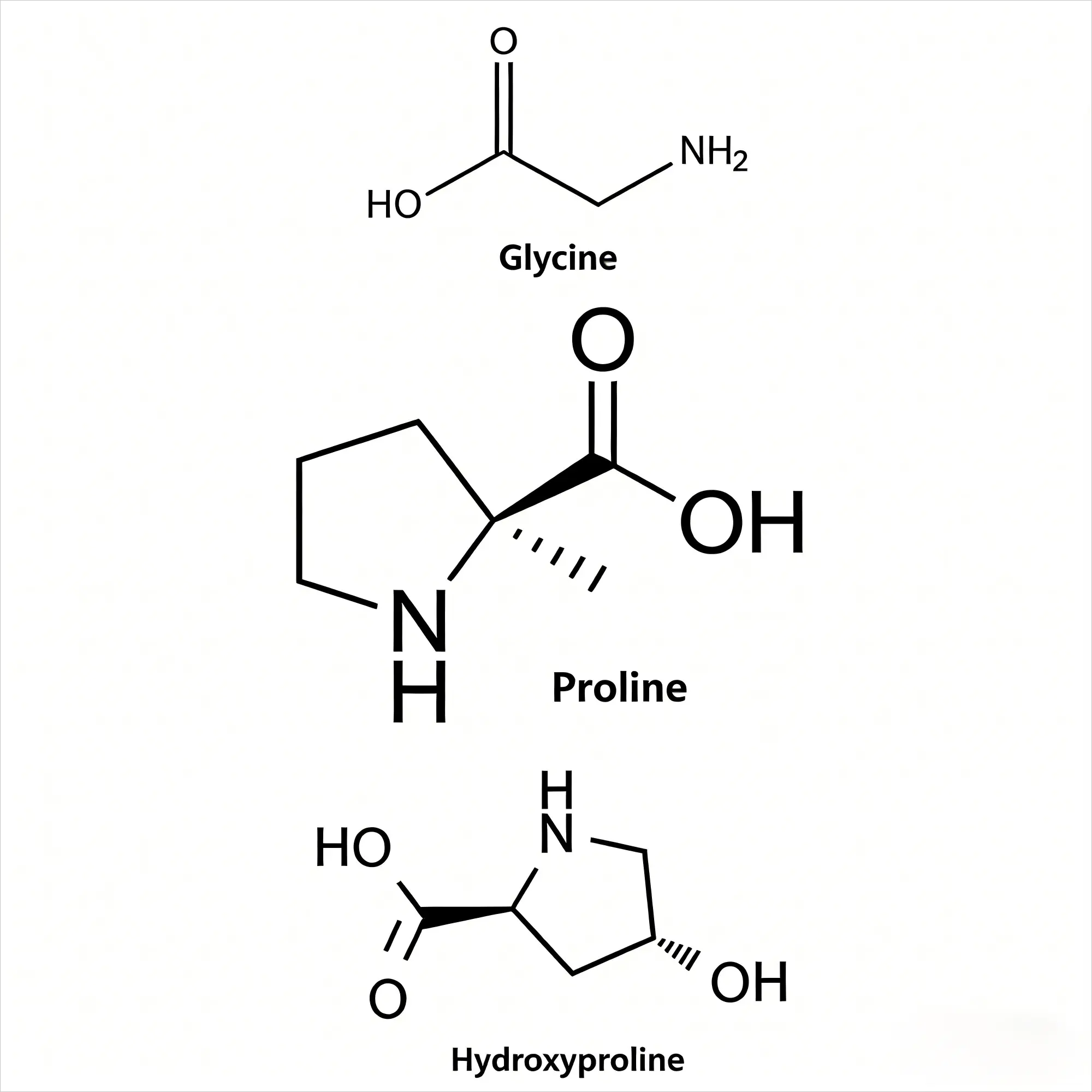 Compound Amino Acids Compound Amino Acids