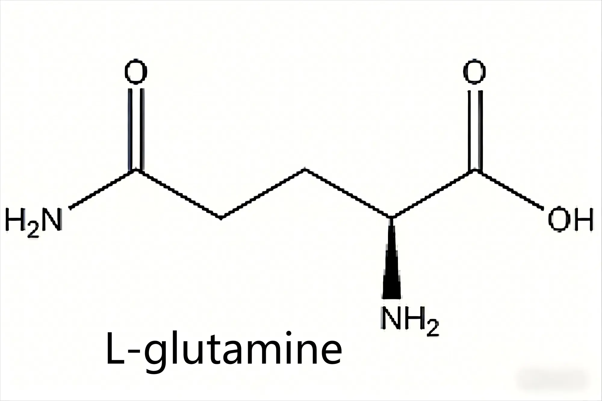 L Glutamine L Glutamine