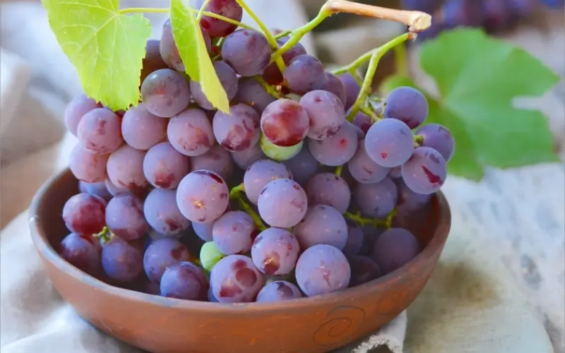 best grape powder best grape powder