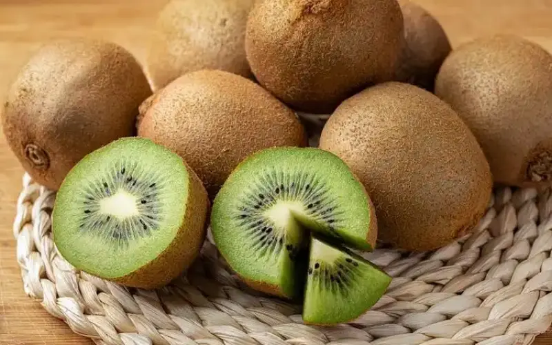 kiwi dried powder kiwi dried powder