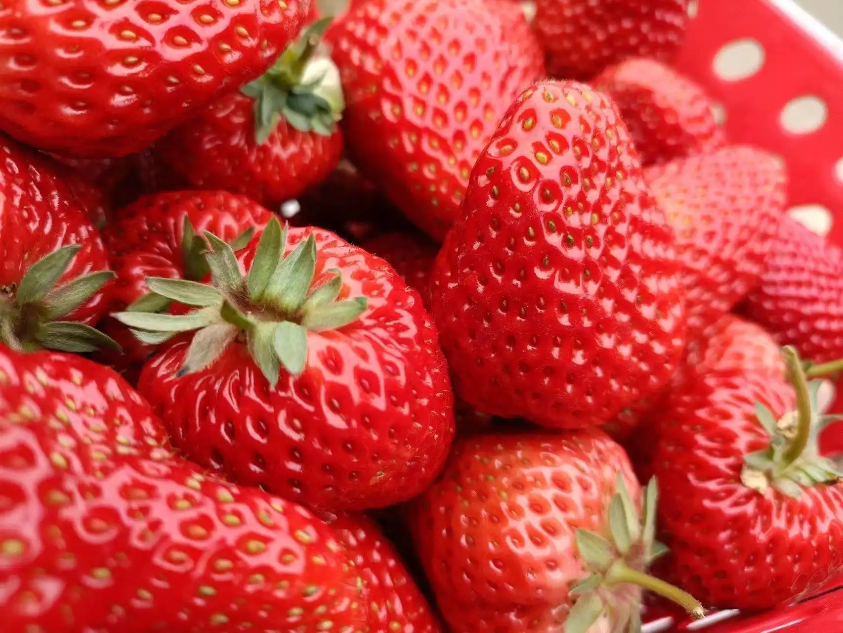 Strawberry Strawberry