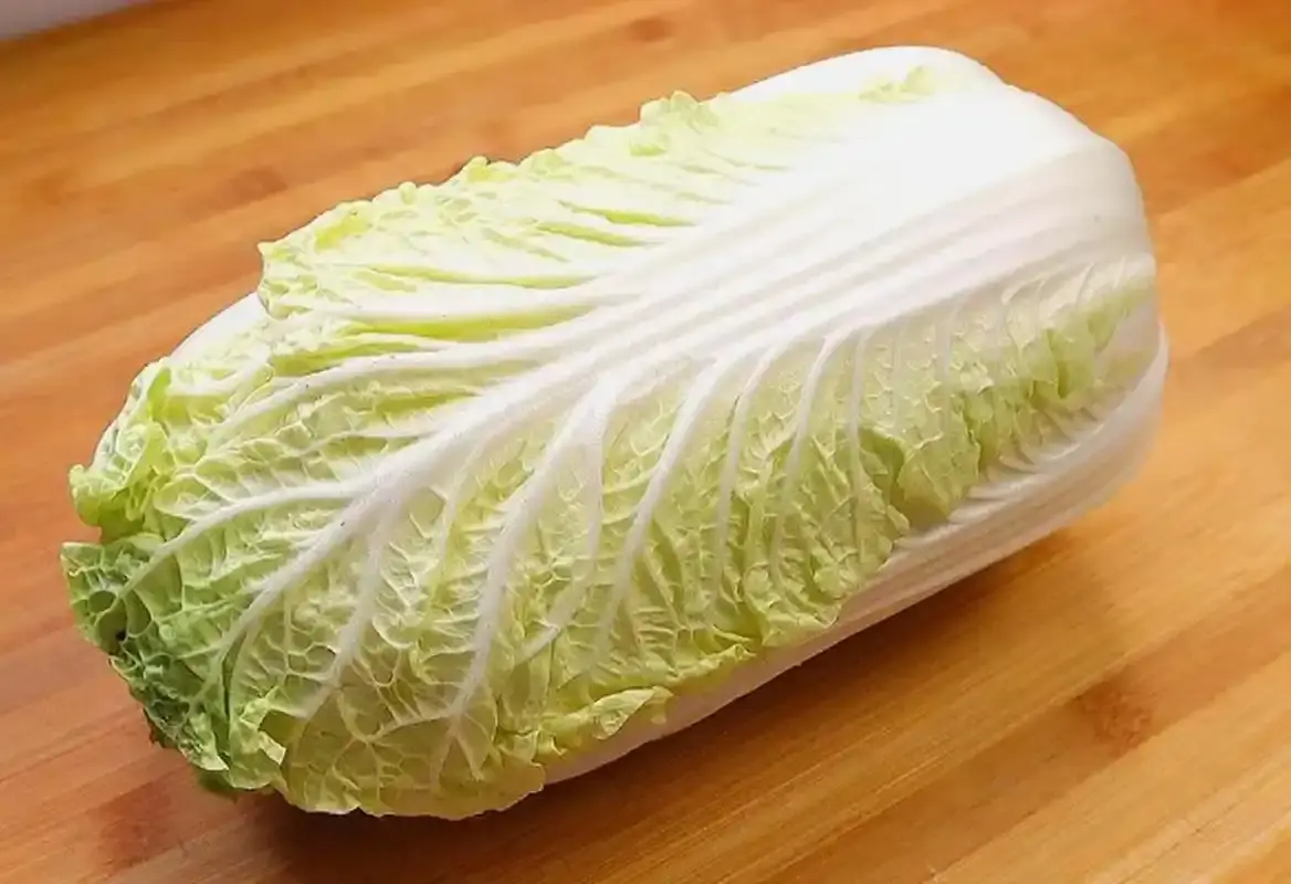 Chinese Cabbage