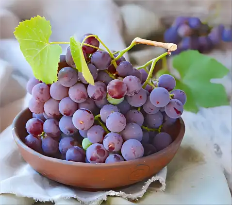 Grape Grape
