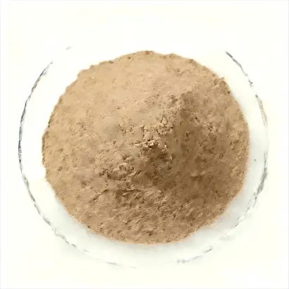 Boletus Mushroom Powder Boletus Mushroom Powder