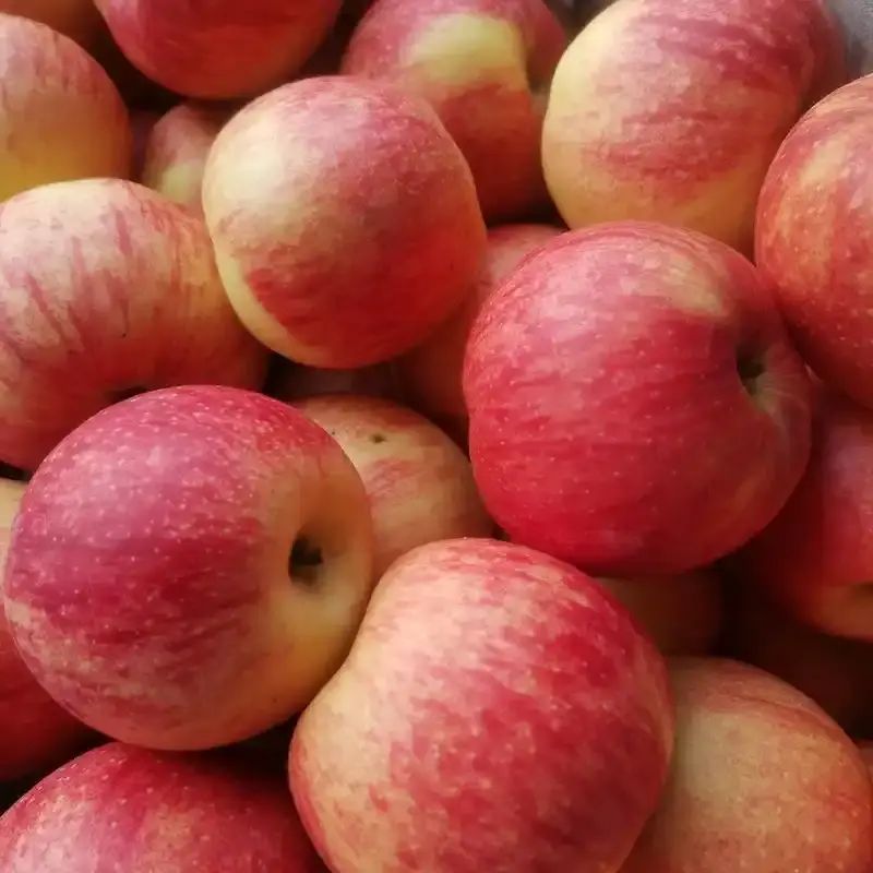 Apple Cider Vinegar