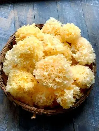 Tremella Mushroom Tremella Mushroom
