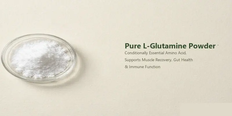 pure L glutamine powder