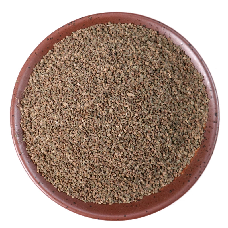 Celery Seed Celery Seed