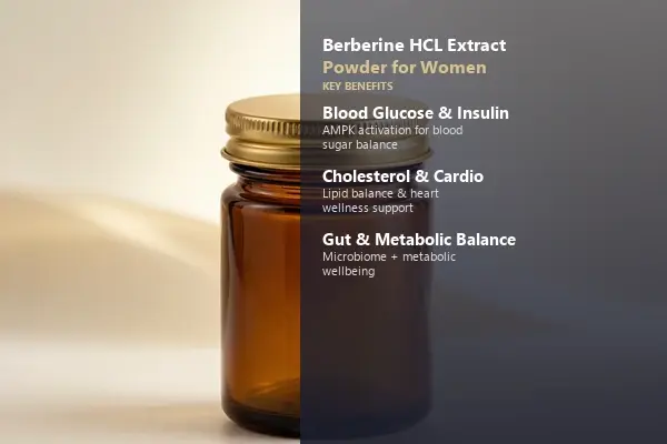 Berberine Hydrochloride Extract Powder