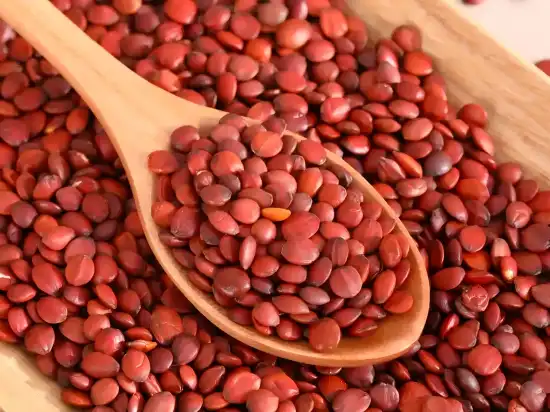 Sour Jujube Seed Sour Jujube Seed