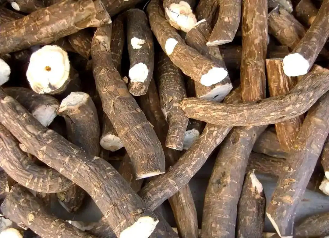  Red Peony Root