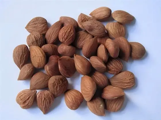 Almond Almond