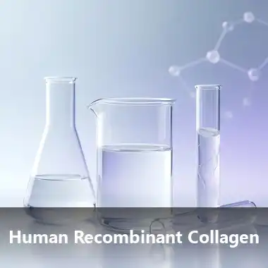 Human recombinant collagen