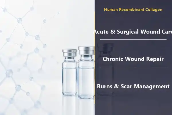 Recombinant Human Collagen