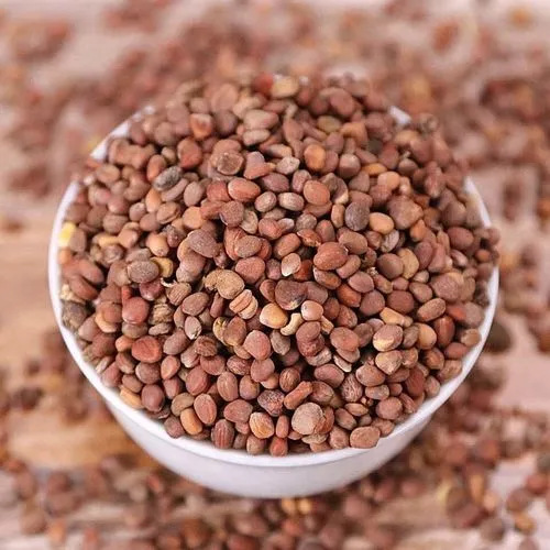 Raphanus Seed Raphanus Seed