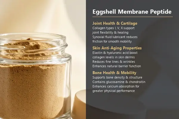 Eggshell Membrane Peptide