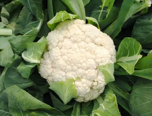 Cauliflower