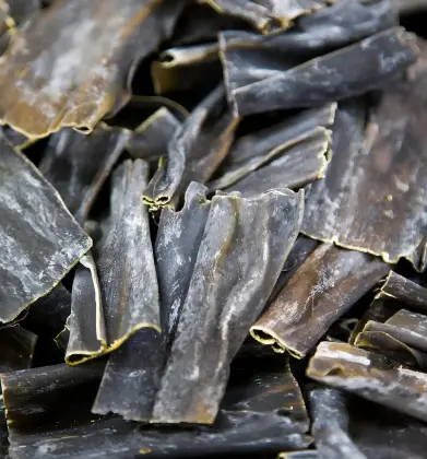 Kelp Powder Bulk Kelp Powder Bulk