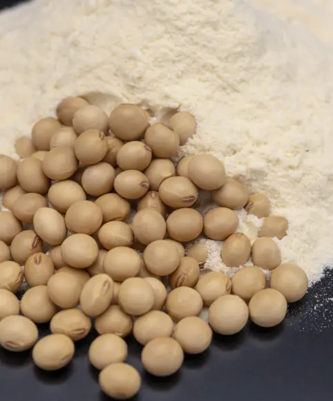 Hydrolyzed Soy Protein Powder