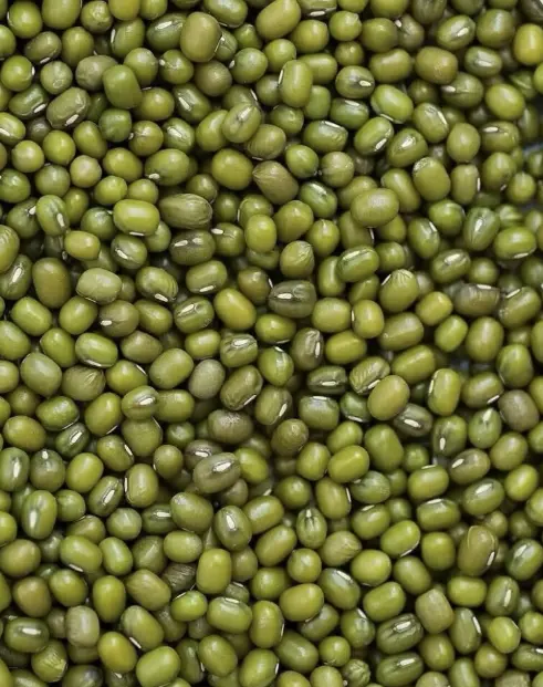 Mung Bean Peptide Mung Bean Peptide