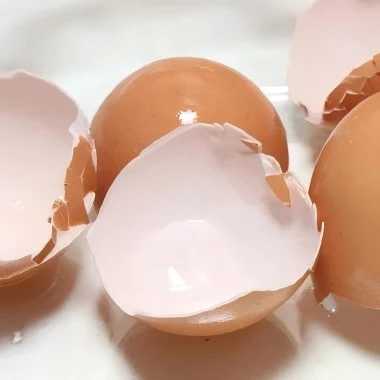 eggshell membrane peptide
