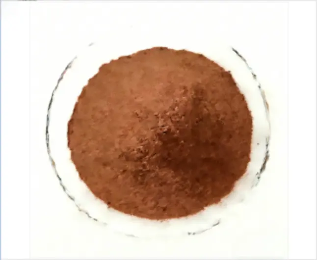 Chaga Mushroom Extract Powder