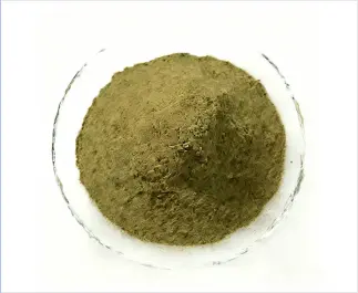 Dandelion Extract Powder