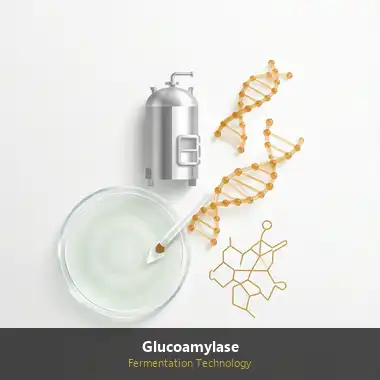 Glucoamylase Production Technology: Complete Step-by-Step Guide Glucoamylase Production Technology: Complete Step-by-Step Guide