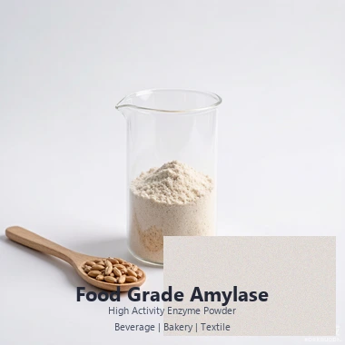 Understanding Amylases: The Essential Enzymes Transforming Industries Understanding Amylases: The Essential Enzymes Transforming Industries