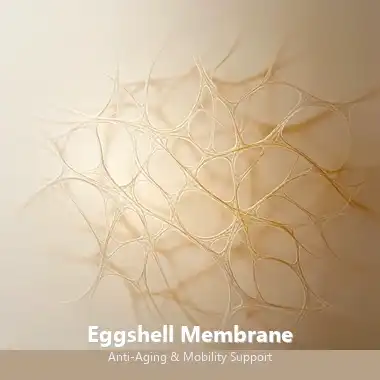 Eggshell Membrane Peptide: waht is it and how it works Eggshell Membrane Peptide: waht is it and how it works