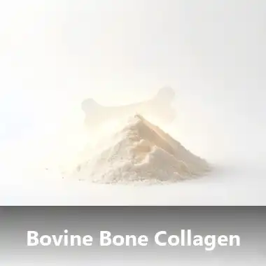Bovine Bone Collagen Explained - Benefits, Safety, and What Makes It Different